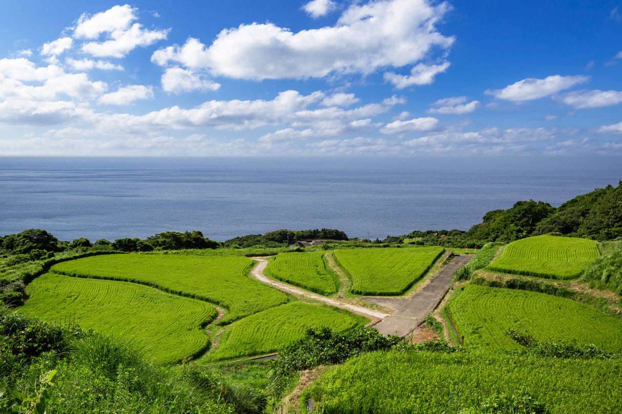 Ine Boat Houses, Crafts and Culture Northern Kyoto (5 days, 4 nights)