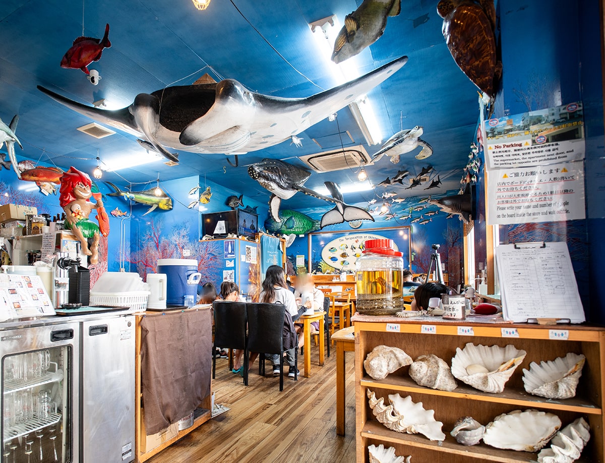 SUSHI RAIL! – A Sushi-Hopping Adventure in Okinawa