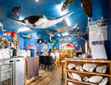 SUSHI RAIL! – A Sushi-Hopping Adventure in Okinawa