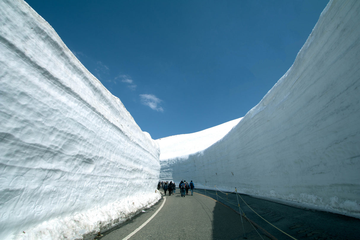 Toyama and the Snow Walls of Tateyama-Kurobe (7 days, 6 nights)