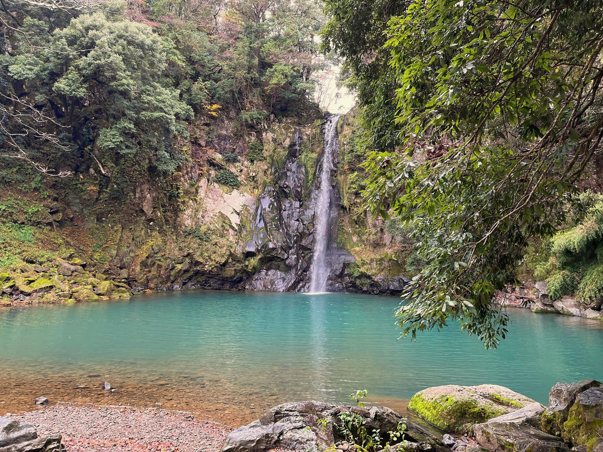 The Coastal Charms of Kyoto and Tottori (5 days, 4 nights)