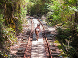 Ancient Cedars Trail: Yakushima Hiking Tour (6 days, 5 nights)